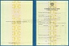 Стоимость Свидетельства о Повышении Квалификации 1997-2018 г. в Мысках (Кемеровская Область)