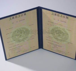 Диплом о Высшем Образовании Туркменской ССР в Новокузнецке