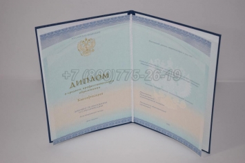 Диплом Колледжа 2020г СпецБланк в Новокузнецке