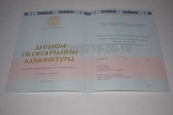 Диплом Адъюнктуры 2024г в Новокузнецке